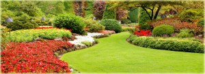 Landscaping Services