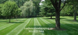 Ajax Lawn Care 