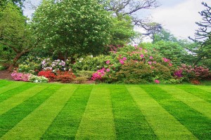 Pickering Landscaping Services